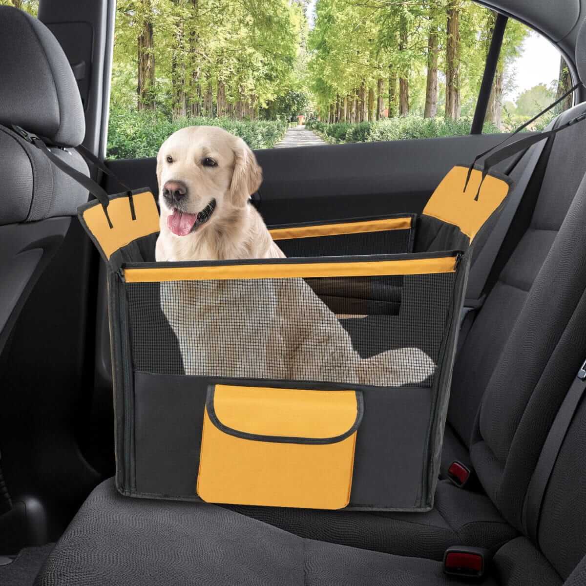 Automobilio Bagažinė Jūsų Šuniui